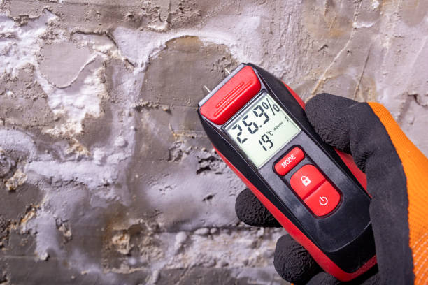 Best Local Mold Removal Service  in Sewaren, NJ
