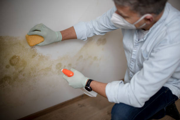 Best Mold Cleaning Services  in Sewaren, NJ