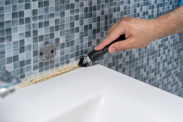 Professional Mold Removal in Sewaren, NJ