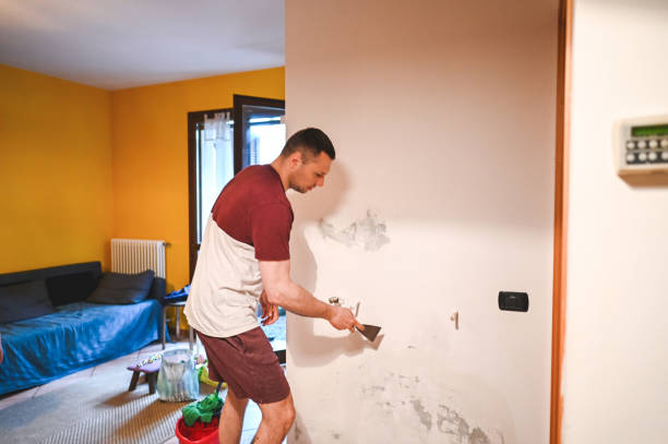 Best Emergency Mold Removal  in Sewaren, NJ