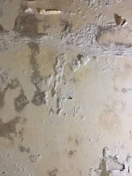 Best Mold Cleaning Services  in Sewaren, NJ