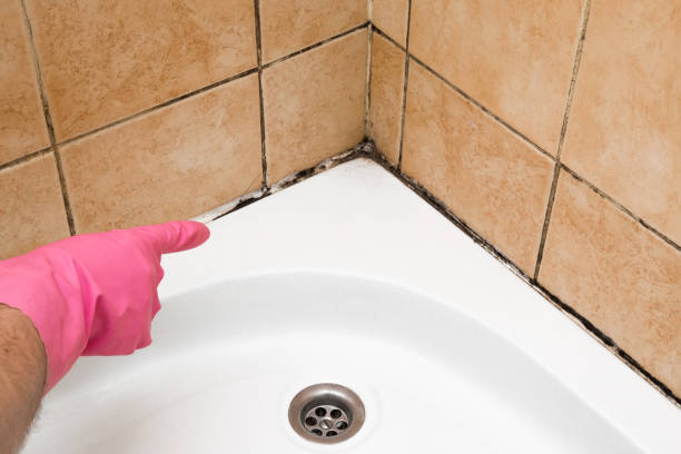 Best Mold Removal Near Me  in Sewaren, NJ